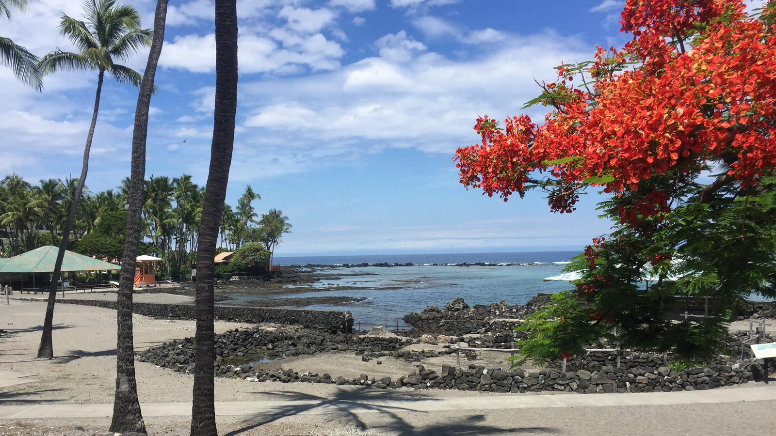 The Best Beach On Hawaii's Big Island For Swimming And Snorkeling