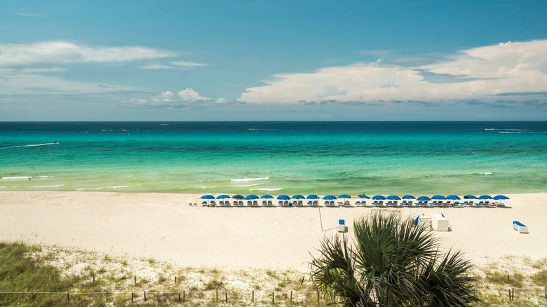 Panama City Beach with a row of umbrella chairs