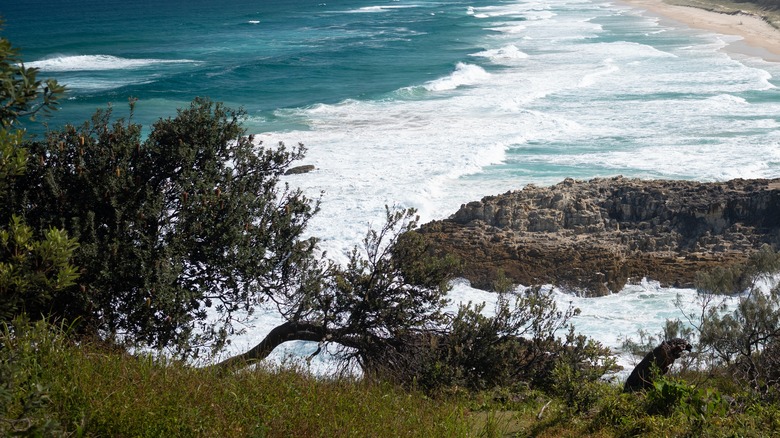 North Stradbroke Island