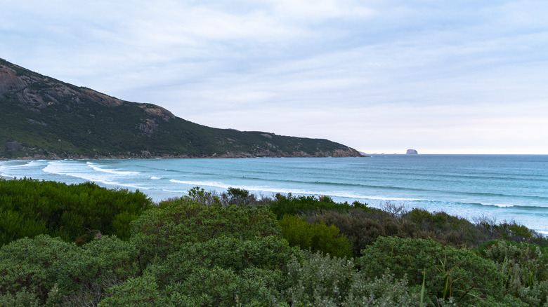 Norman Beach, Wilsons Prom