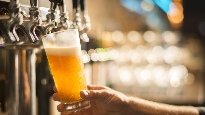 bartender pouring a pint