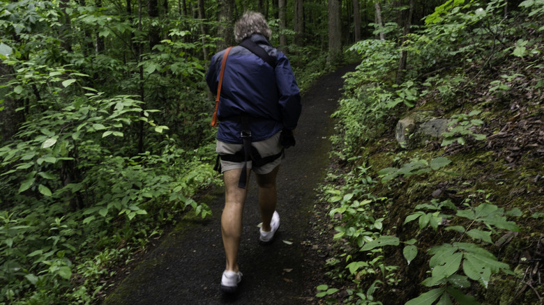 Hiking New River Gorge