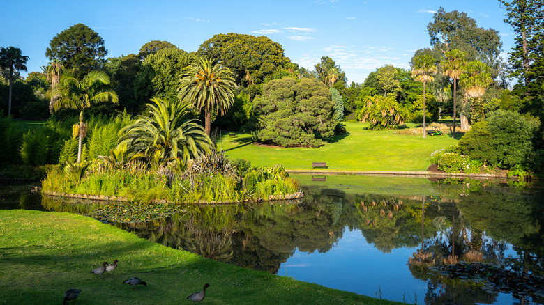 Melbourne public gardens