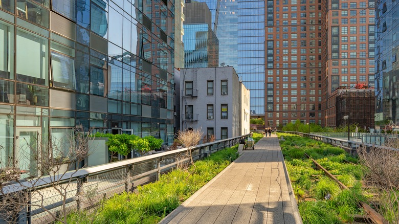 NY High Line garden