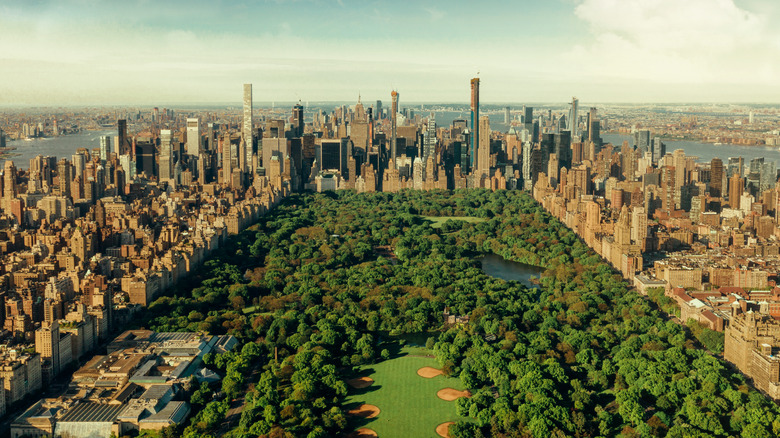 Central Park overhead view