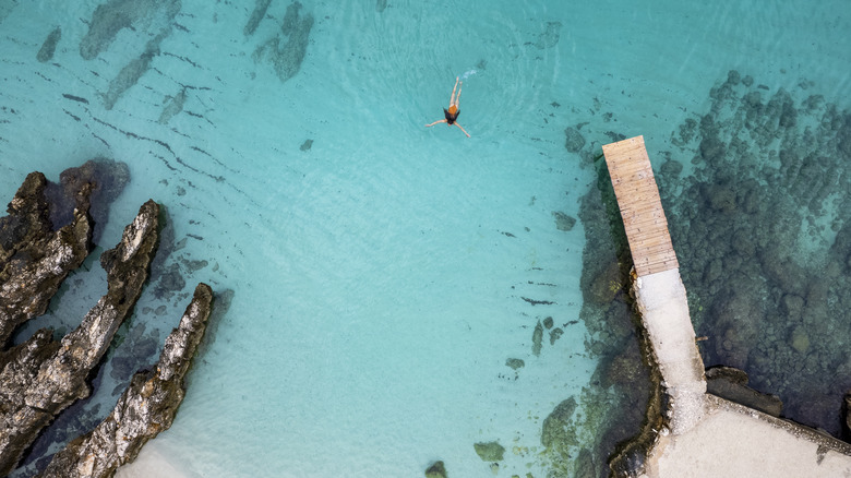aerial of woman swimming in water