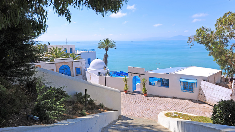 white and blue buildings along sea