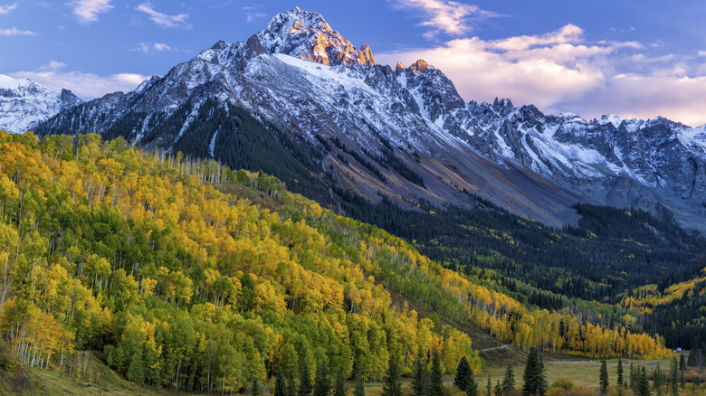 yellow and green aspens mountain peak