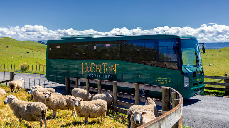 Hobbiton New Zealand bus tour