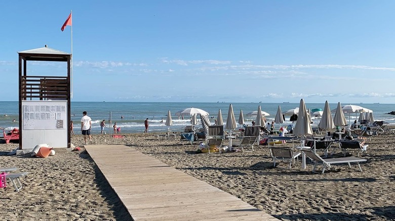 View of Camping Village Dei Fiori beach