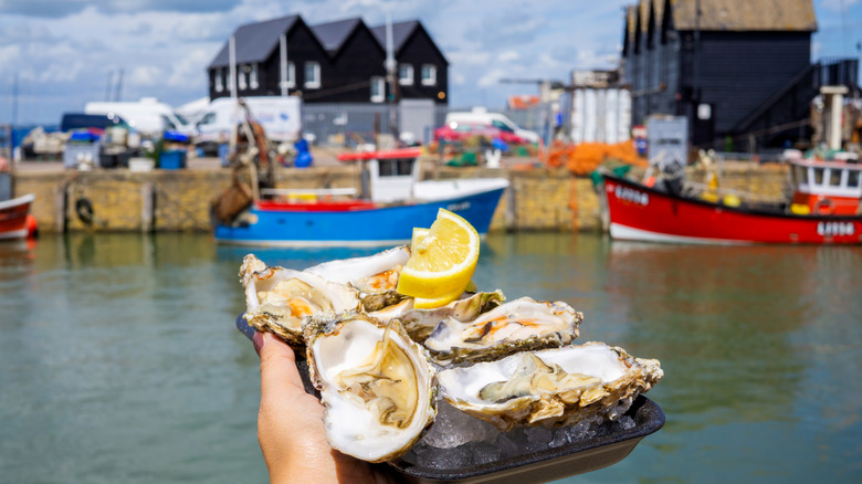 oysters in whitstable