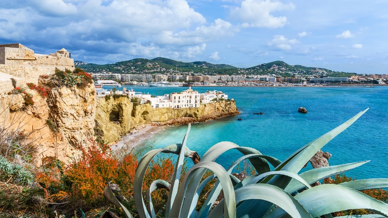 Ibiza island and ocean