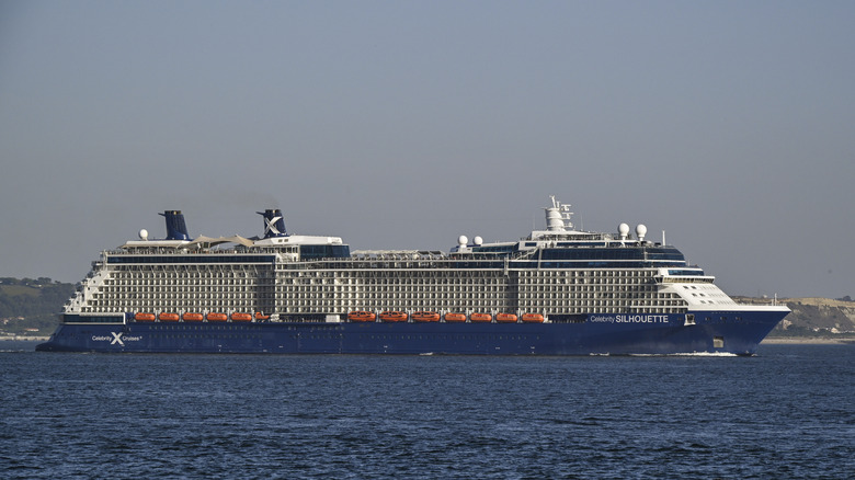 Celebrity cruise ship at sea