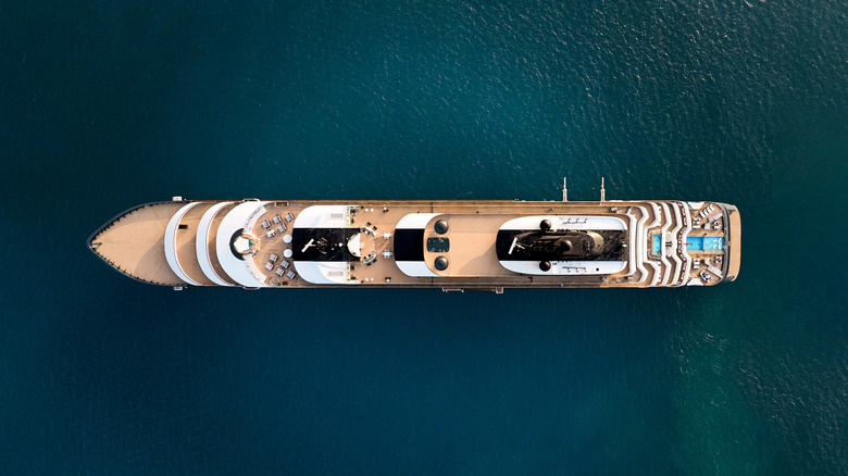 Ritz-Carlton cruise in water