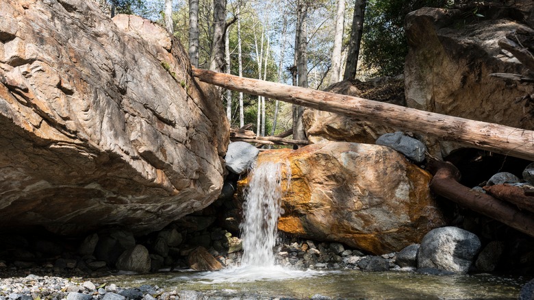 Eaton Falls, San Gabriel Mountains