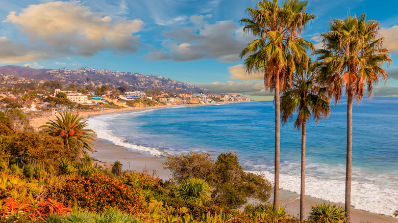 coastline of Laguna Beach