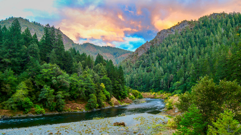 Rogue River-Siskiyou National Forest