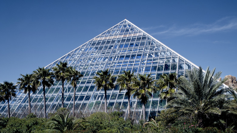 Moody Gardens Aquarium Pyramid 