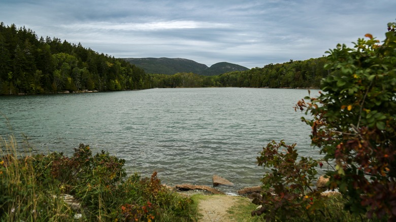 Echo Lake Beach in Maine