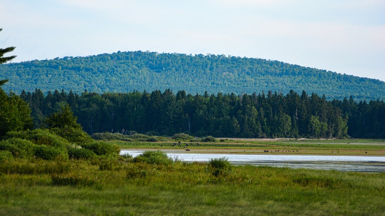 Moosehead Lake wide shot