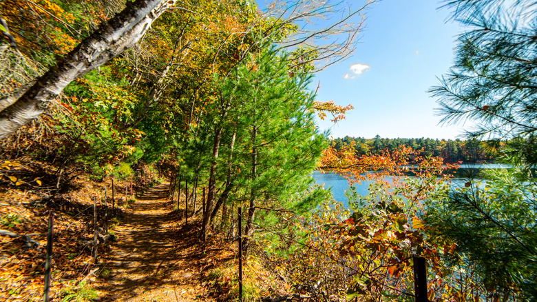 autumn colors at Walden Pond