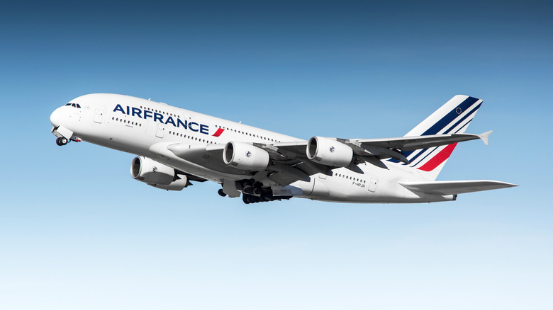 Air France aircraft in the sky