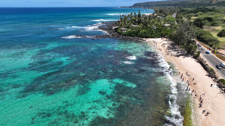 Turtle Bay, Maui