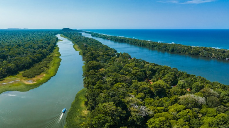 Canals in Tortuguero National Park