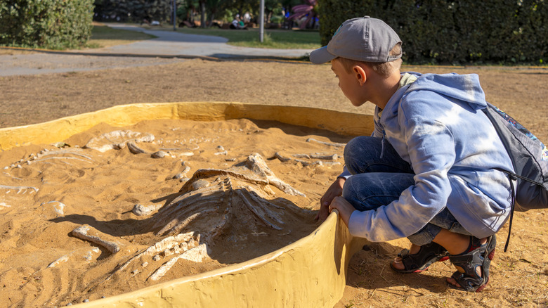 Young boy at the Australian Age of Dinosaurs Museum