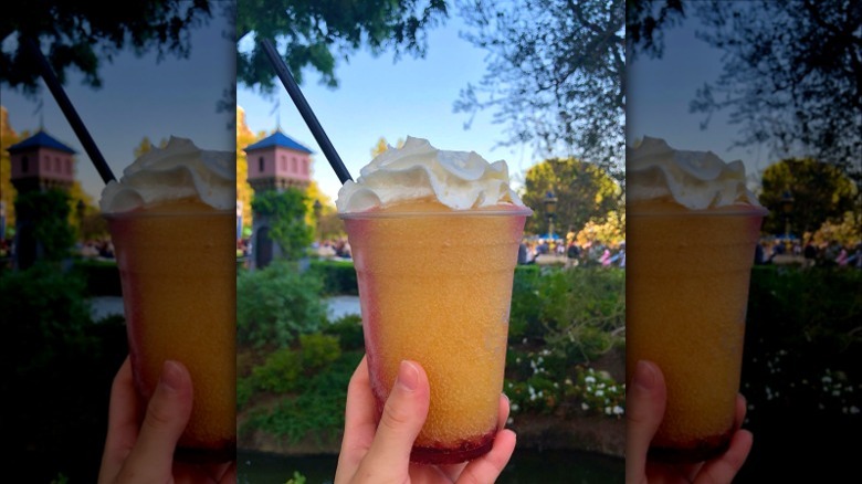 Boysen Apple Freeze drink in Disneyland