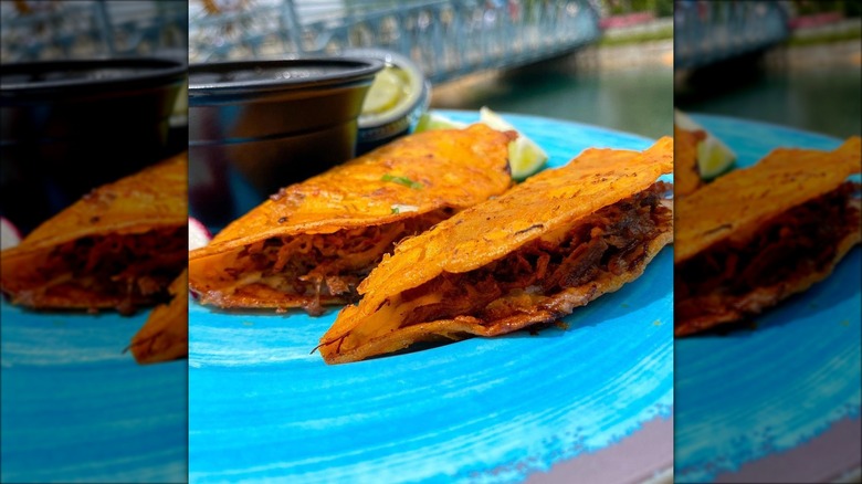 Quesa Birria tacos at Disney California Adventure