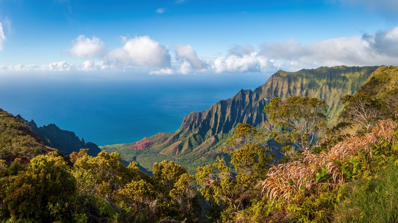 View from Kalalau Lookout