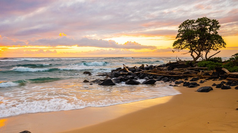 Lydgate Park beach at sunset