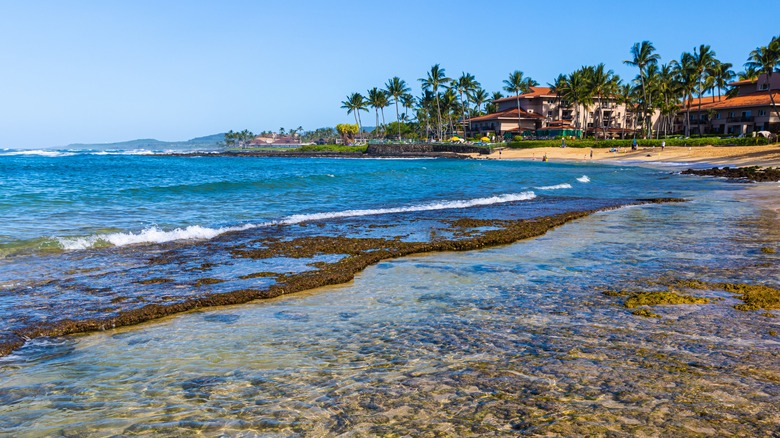 Ocean at Poipu Beach Park