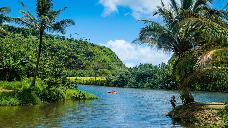 Kayak on Wailua River