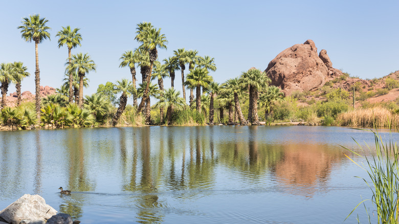 Papago Park lagoon