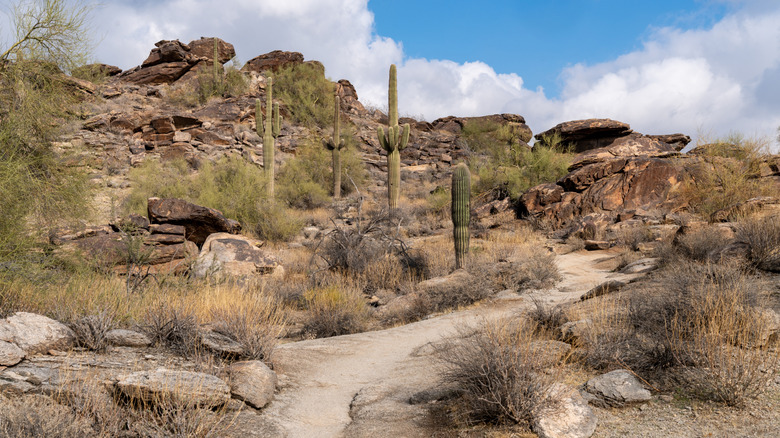 South Mountain Park and Preserve trail