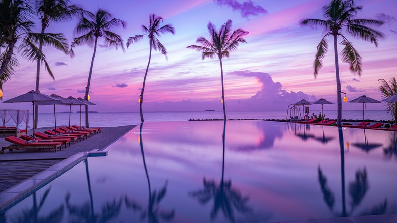 Beachfront resort pool at sunset