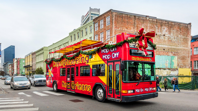 sightseeing bus in New Orleans
