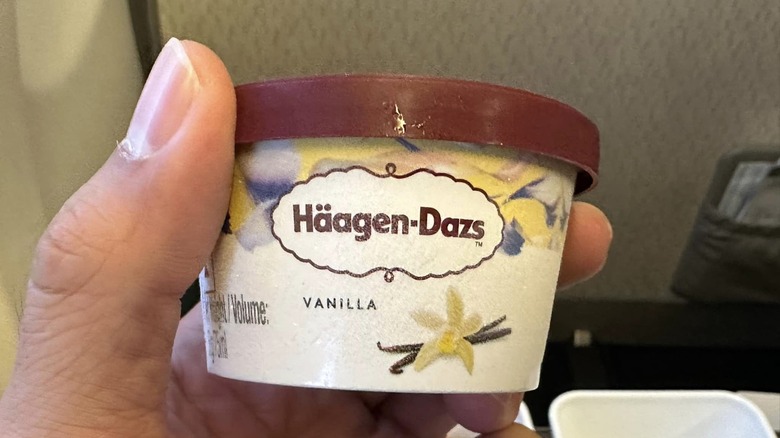 vanilla Haagan Dazs pot