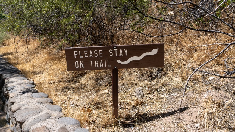 Snake warning sign on trail