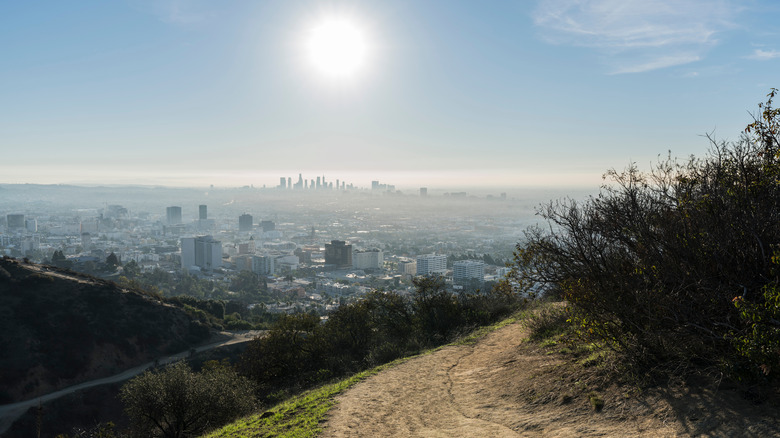 Runyon Canyon Trail