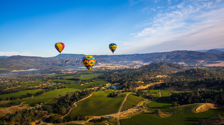 Hot air balloons in Napa Valley