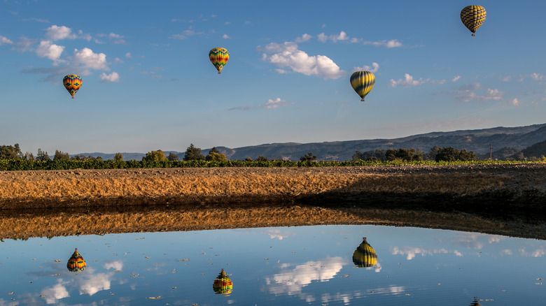 Hot air balloons in Yountville