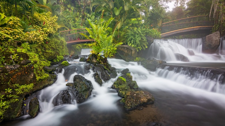 Arenal Hot Springs, Costa Rica