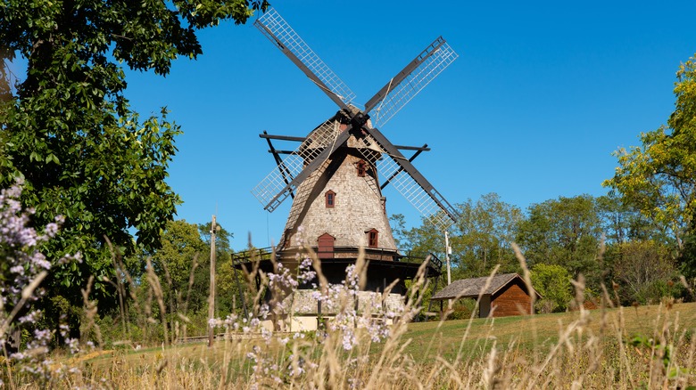  dutch windmill at Fabyan Forest  