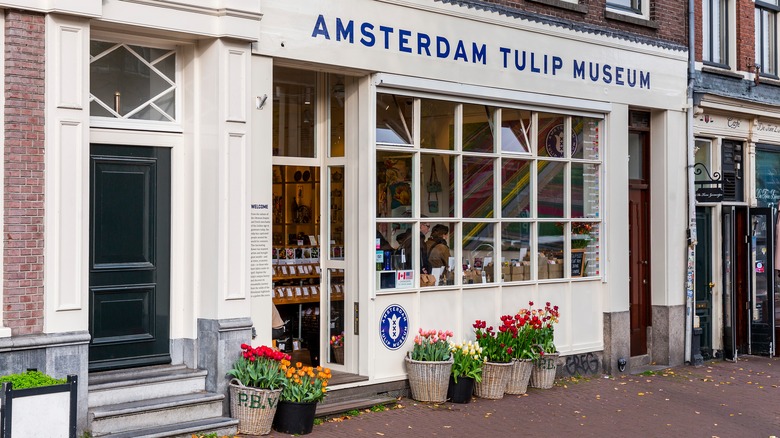 Outside the Amsterdam Tulip Museum