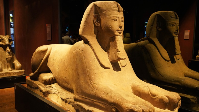 Sphinx at Egyptian Museum