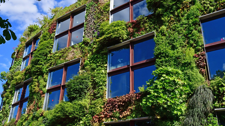 Quai Branly Museum