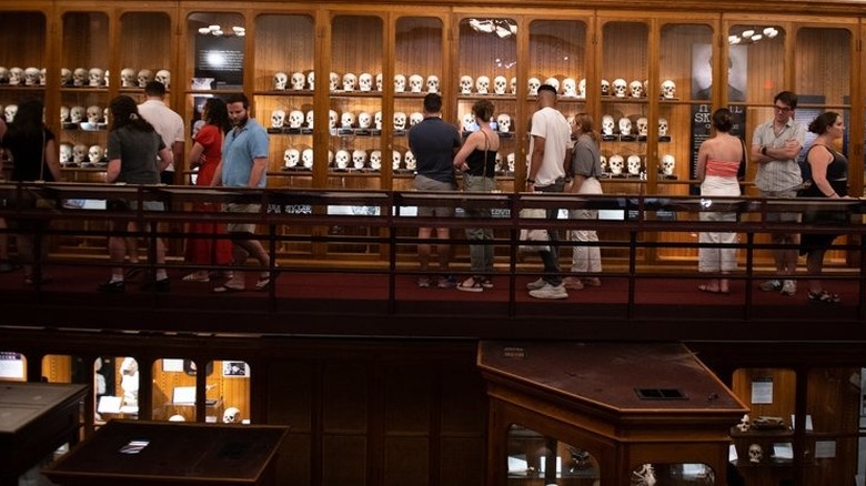 Visitors look at human skulls on display inside The Mütter Museum at The College of Physicians of Philadelphia